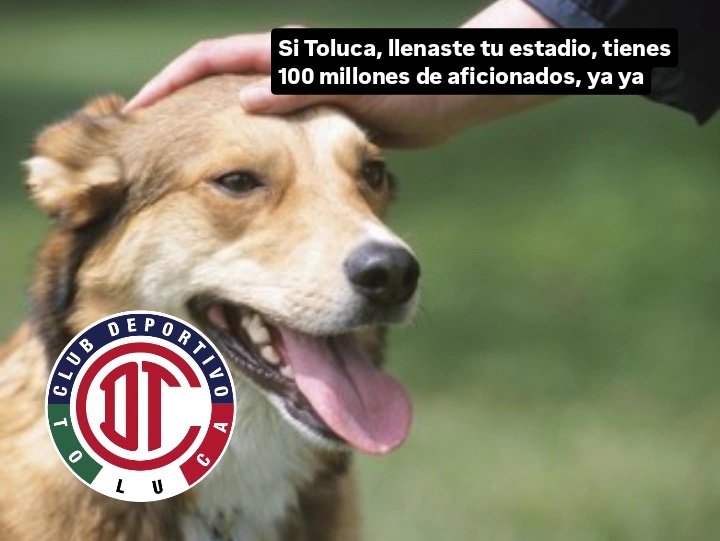 Sangre Azul tweet media