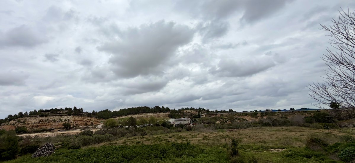 EL CLIMA EN TIEMPO REAL tweet media