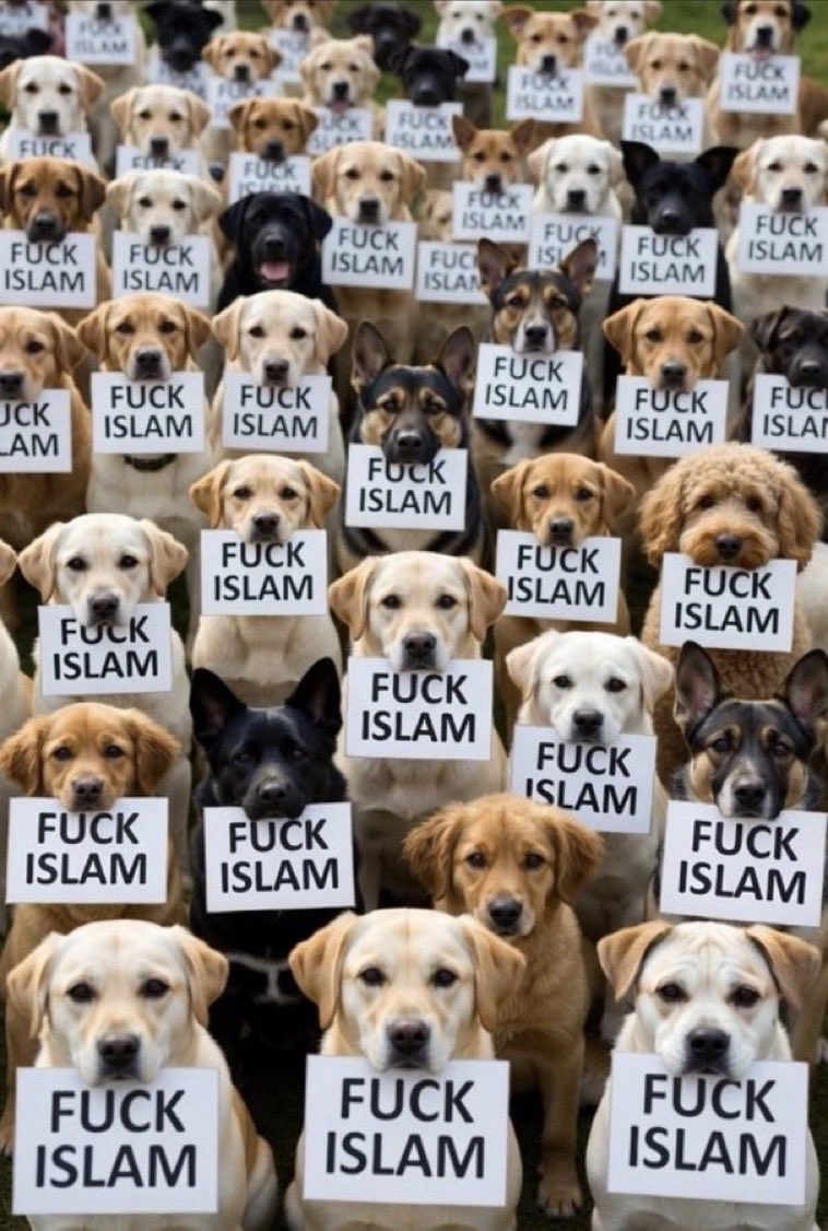 Penelope tweet media