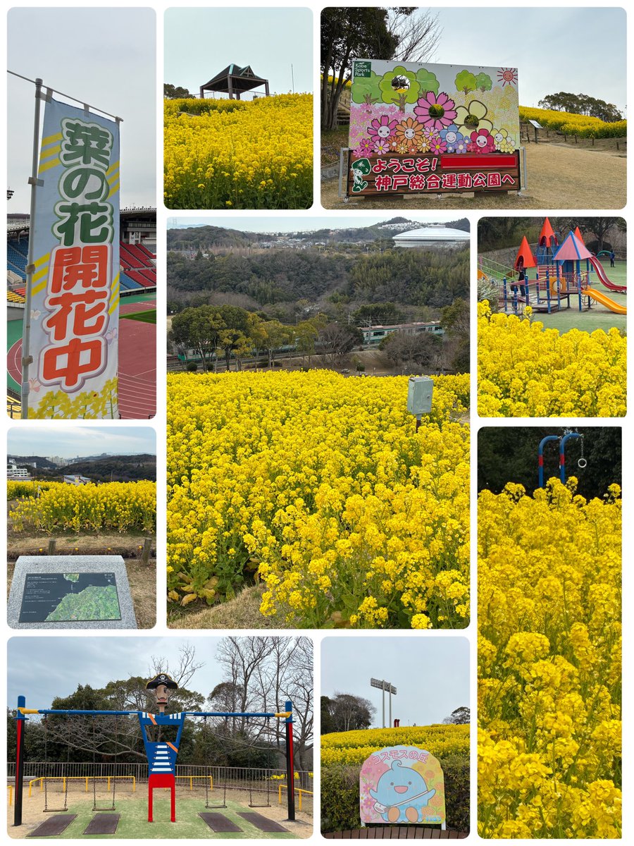 ふぁんた tweet media