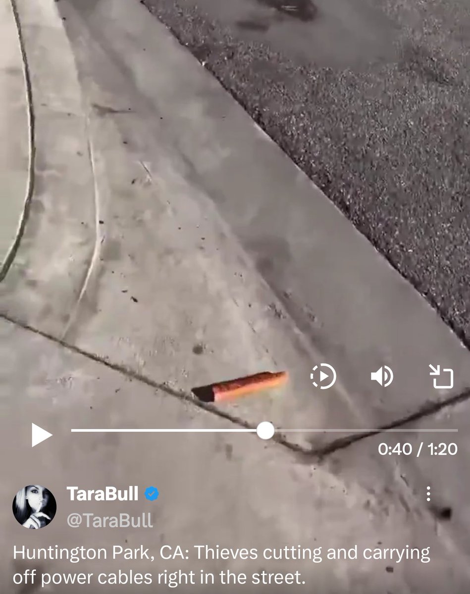 Tigernach tweet media