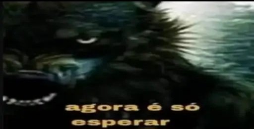 Mateus Costa tweet media