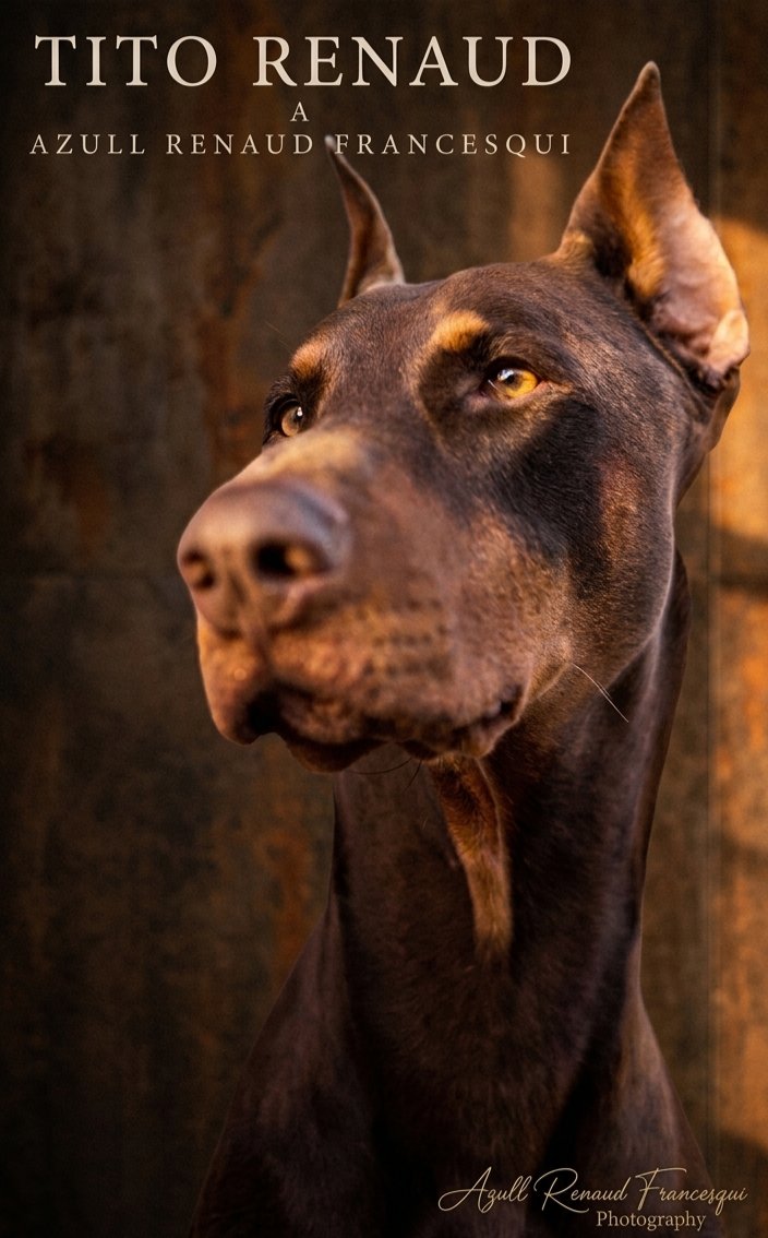 AZZULL 💦💙💦 tweet media