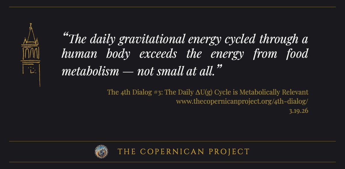 Steve Thorne tweet media