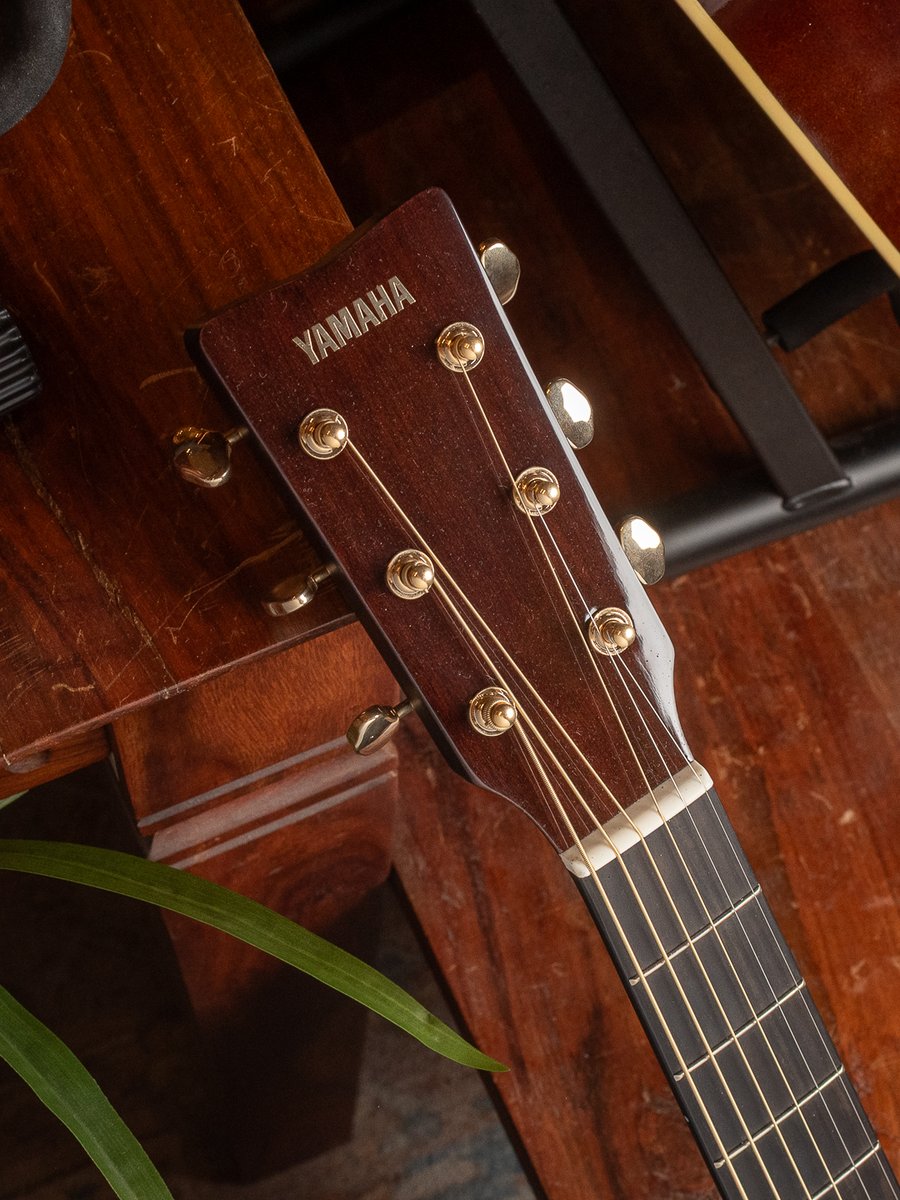 ChicagoMusicExchange tweet media