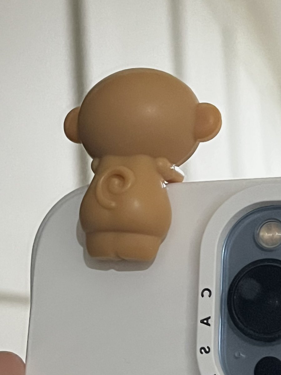 밥랭이 tweet media