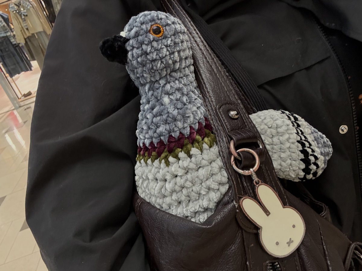 𝑨𝒎𝒆𝒕𝒉𝒚𝒔𝒕 (pigeon girl) 🐦 𖦹⭒°｡⋆ tweet media