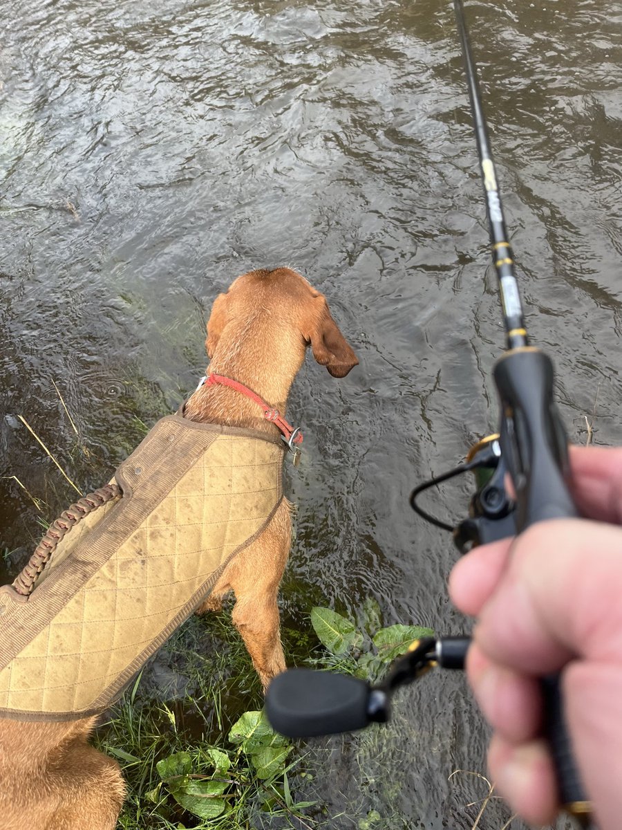 pierocoia's tweet photo. Fishing 15/3/26 https://t.co/QiRJXS5Xqt