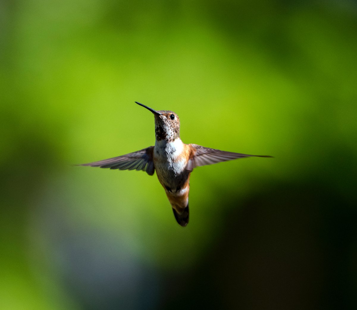 Jason Wilde tweet media