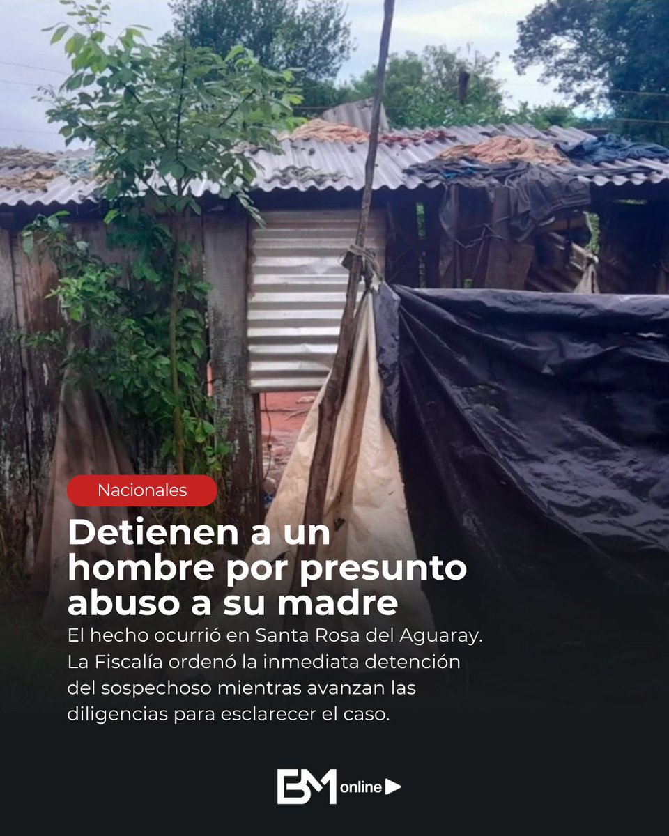 Bruno Masi tweet media