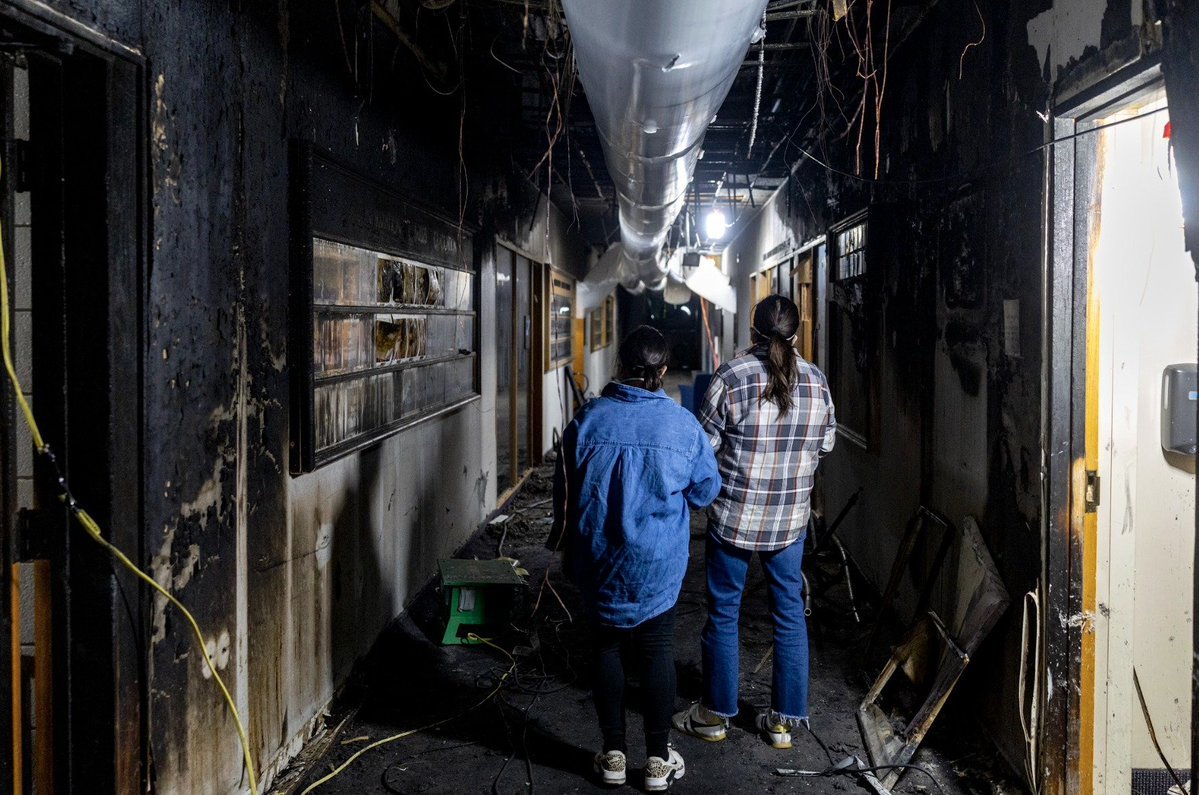 Avi Mayer אבי מאיר tweet media