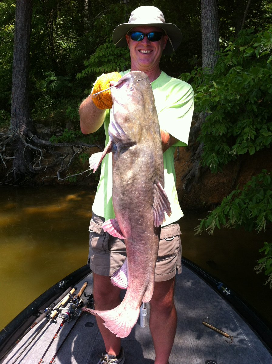 Tommy 🏆 tweet media