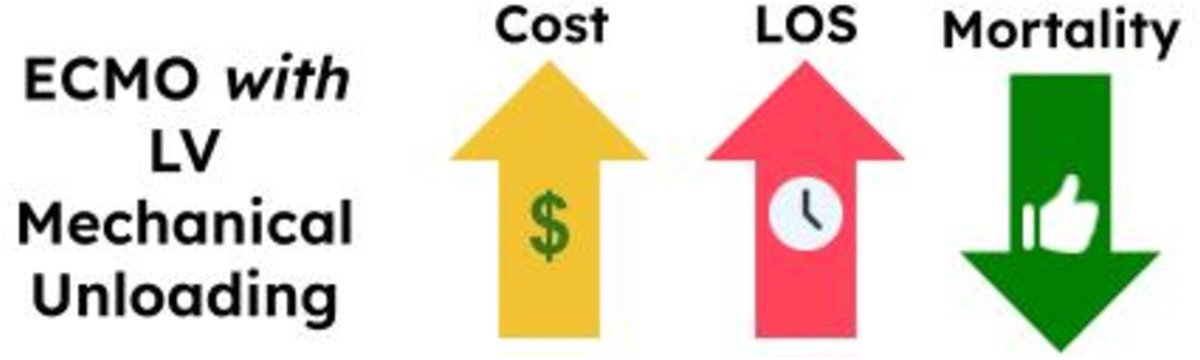 Artificial Organs tweet media