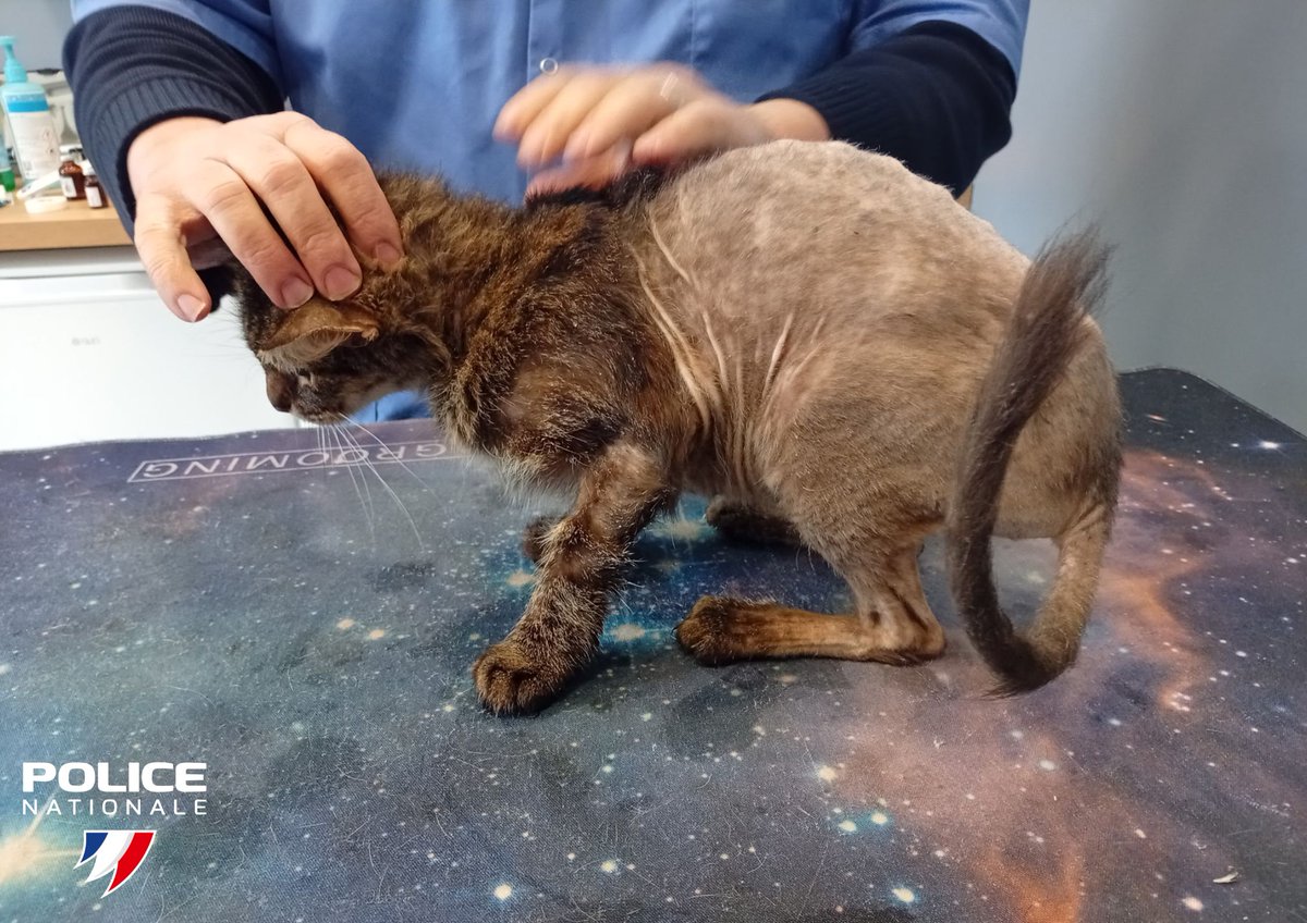 Police nationale 76 tweet media