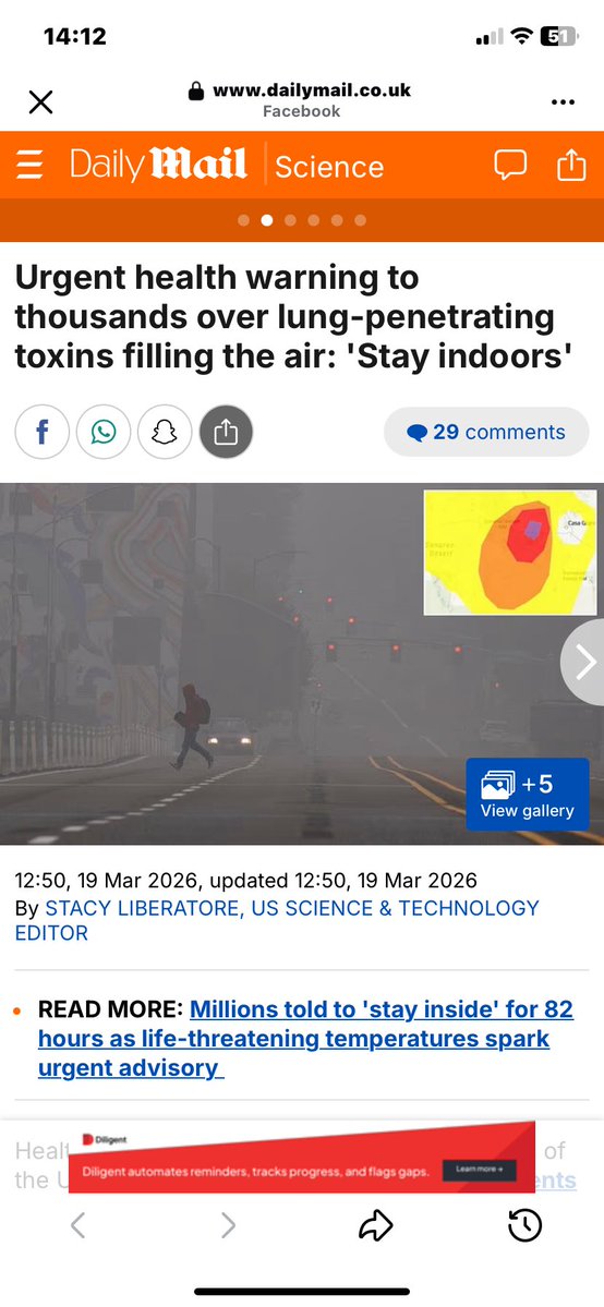 Truth Pixie tweet media