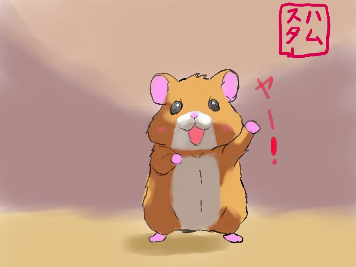 ハムスター🐹: Hamster🐹 tweet media