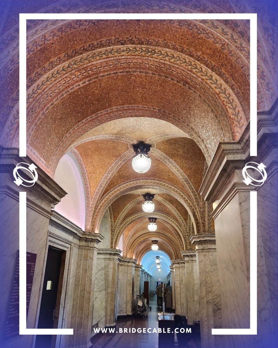 Bridge Cable tweet media