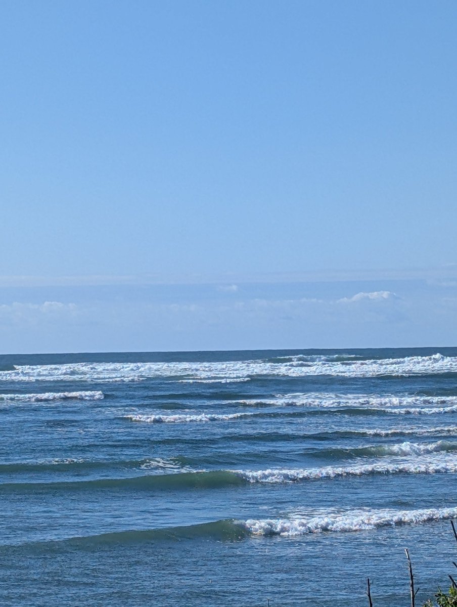 Mary*poppins tweet media