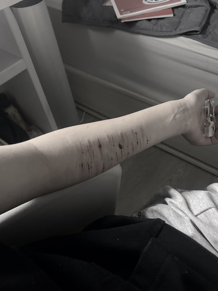 당 ㅌㅊㅅ tweet media