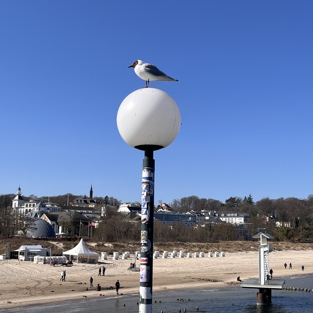 Lakko (el cozy gamundo🕹️) tweet media