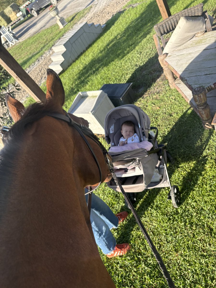 Sofia Carbone tweet media