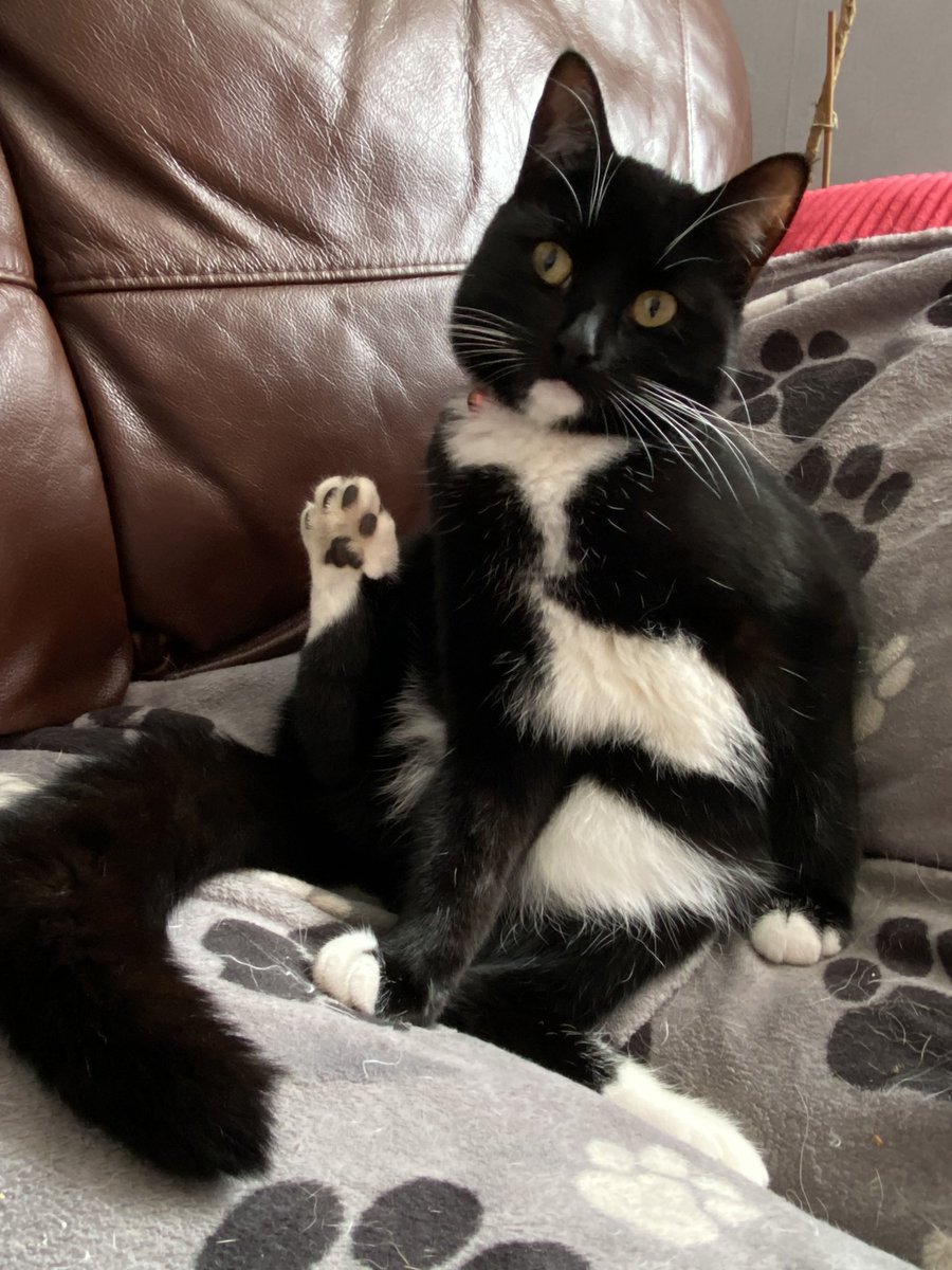 Jen 🌈💫 RDC8 tweet media