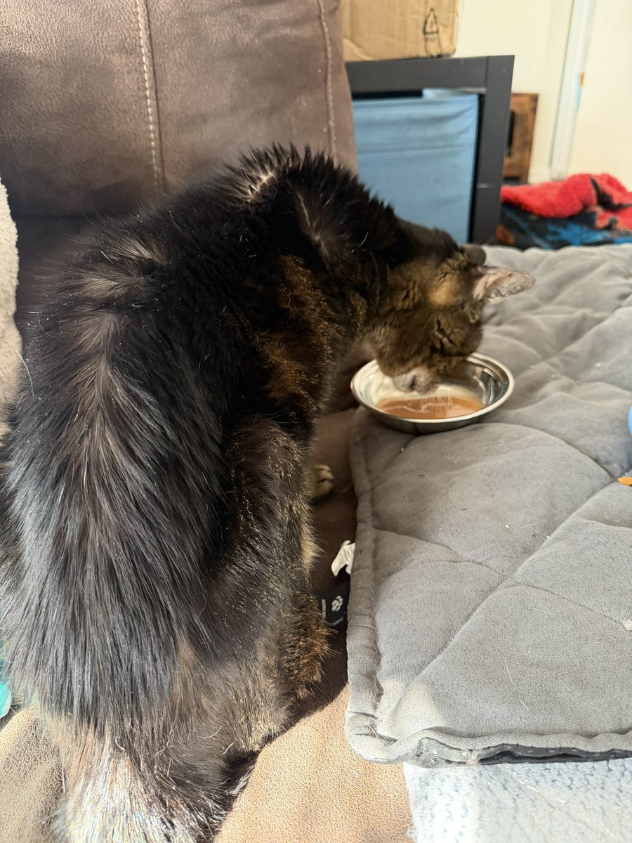 LoisAceLane tweet media