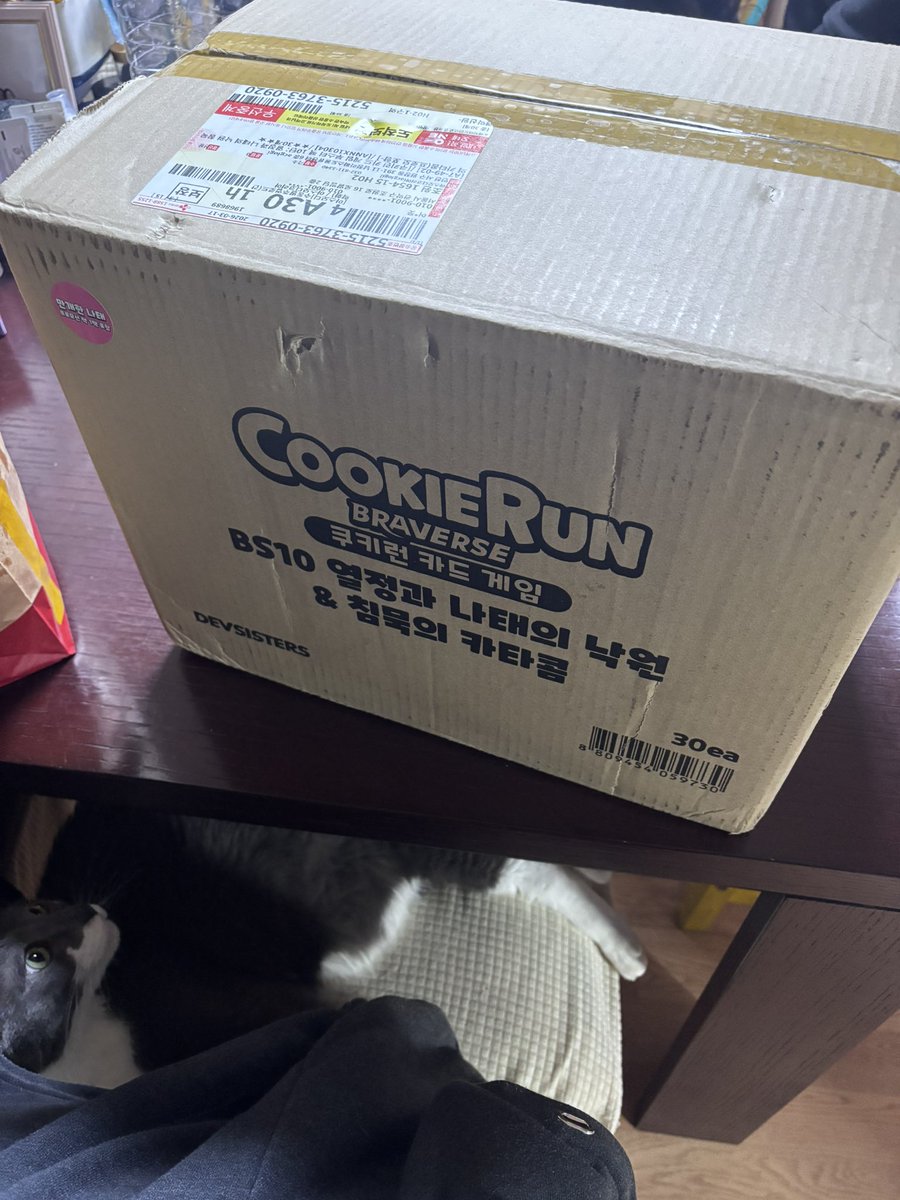 마린 (권예현) tweet media