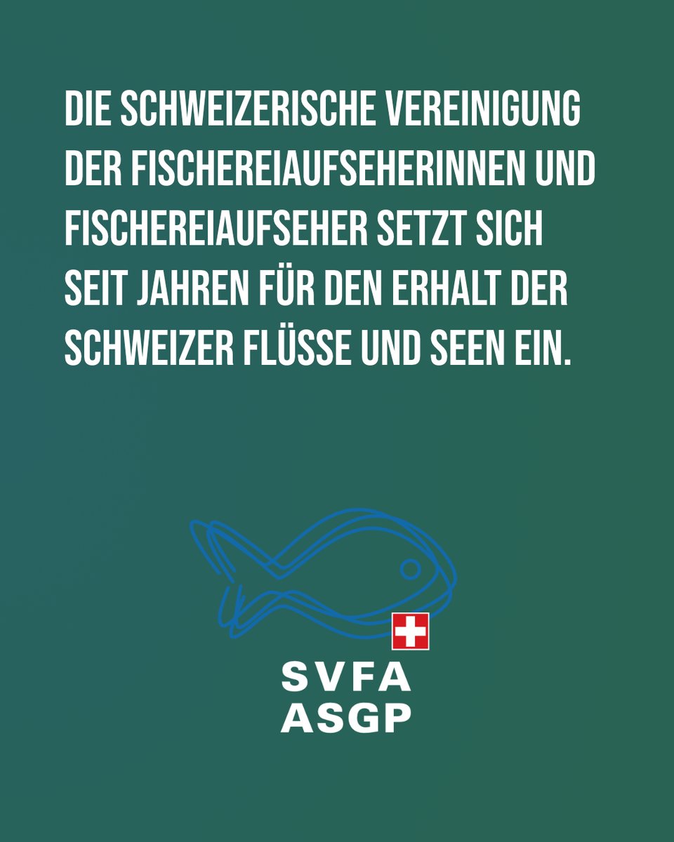 Gemeinde Seegräben tweet media