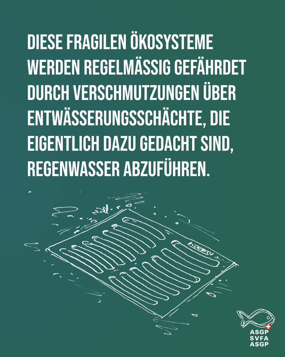 Gemeinde Seegräben tweet media