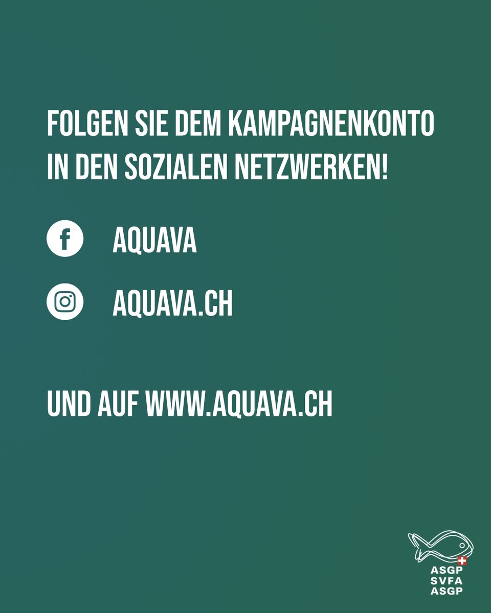 Gemeinde Seegräben tweet media