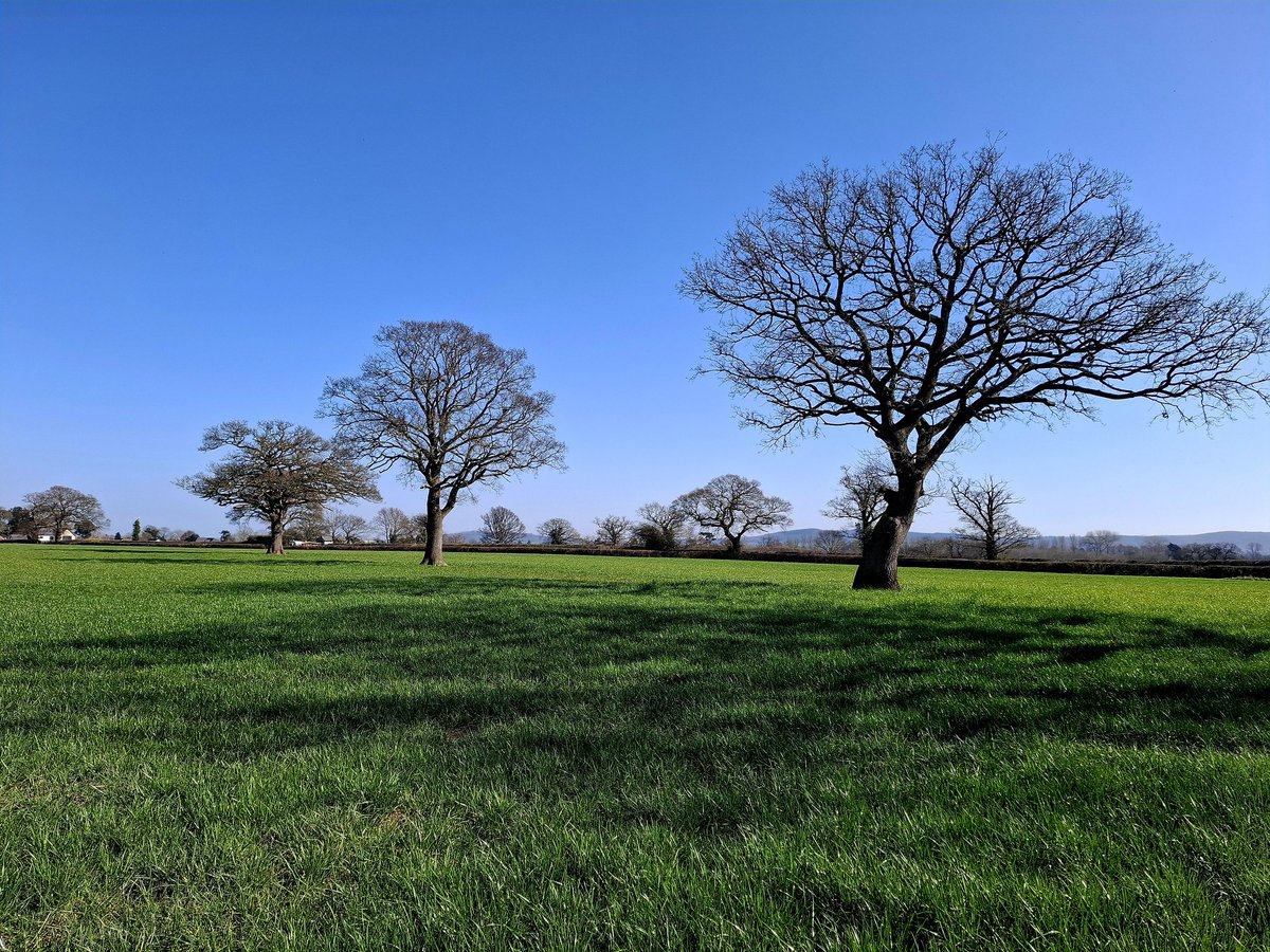 Lisa Wilde tweet media