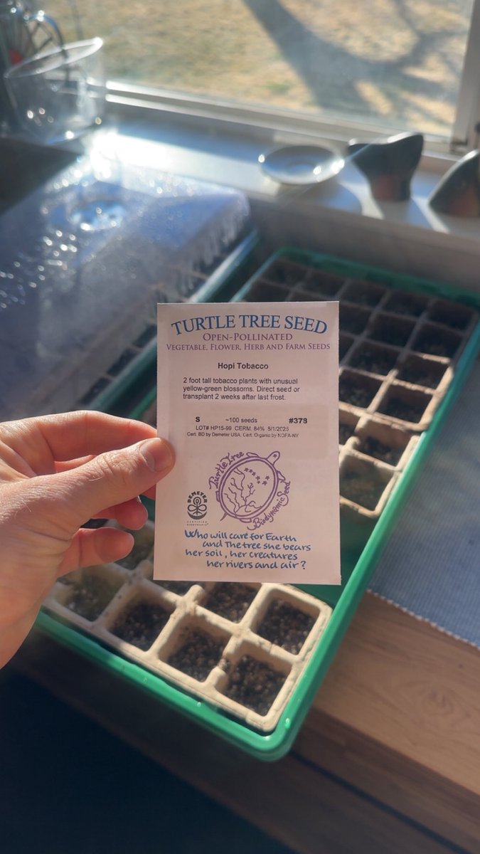 Sowed, excited to reap