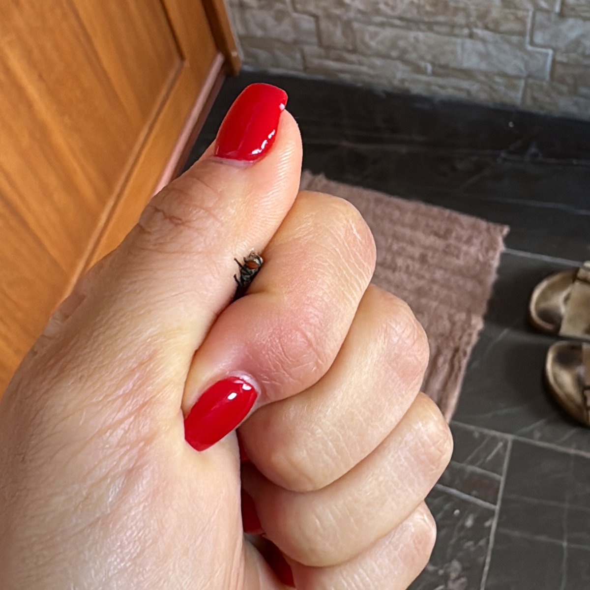 isa⚡️ tweet media