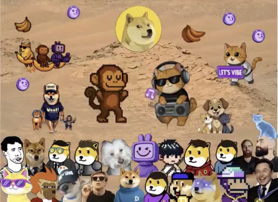 MONKO 🐒 tweet media