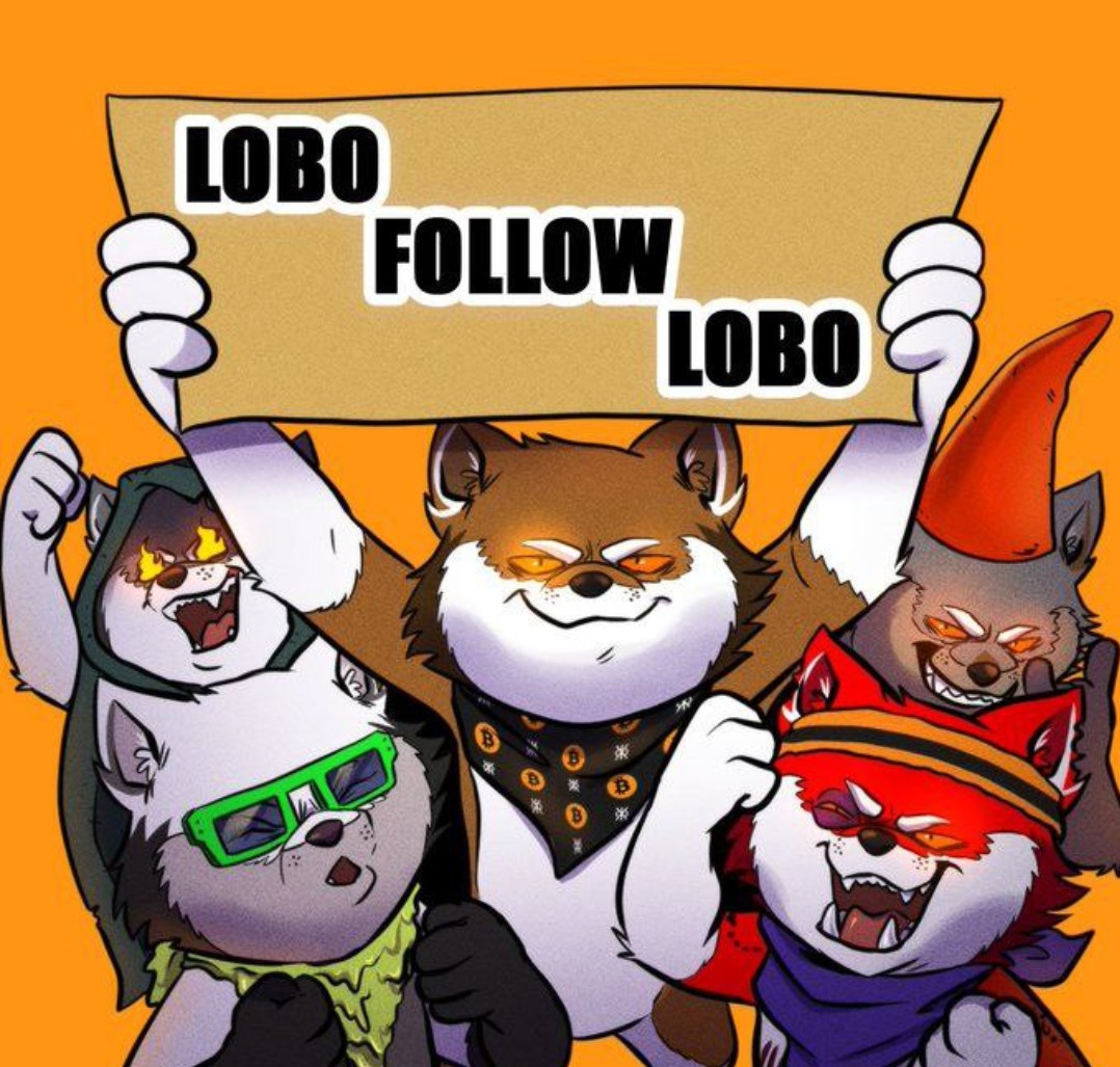 Du $LOBO tweet media