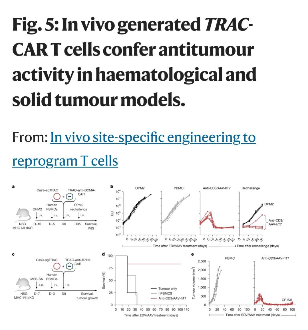 Patrick Heizer tweet media