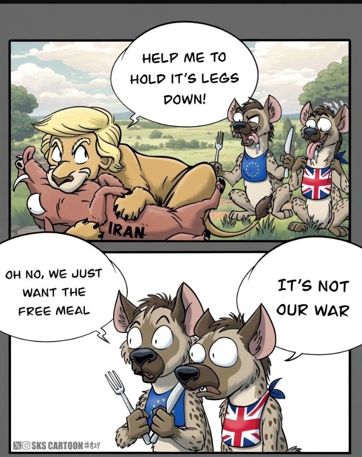 David Q+++ tweet media