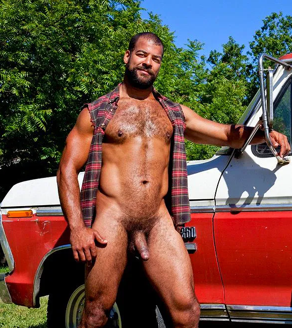 Slavic_muscle tweet media