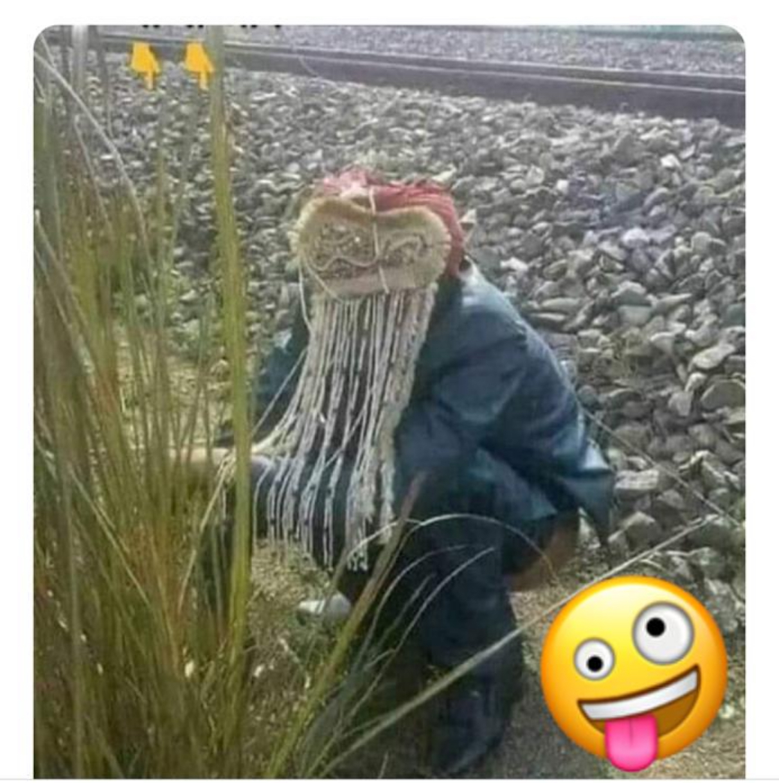 vijay shukla tweet media