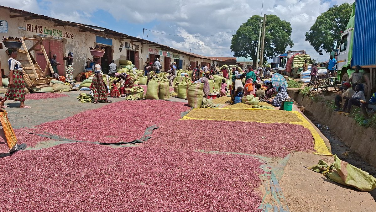 Thomas-Josephat tweet media