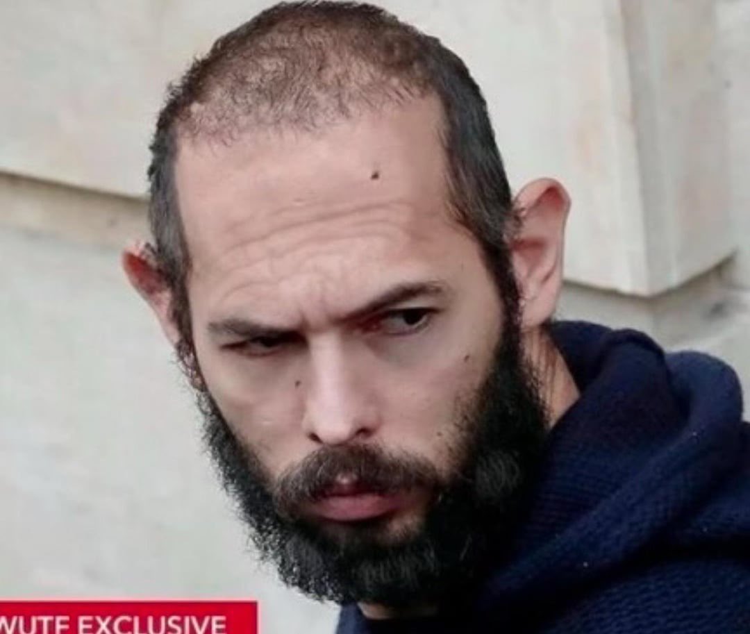 TheDudeFollows tweet media