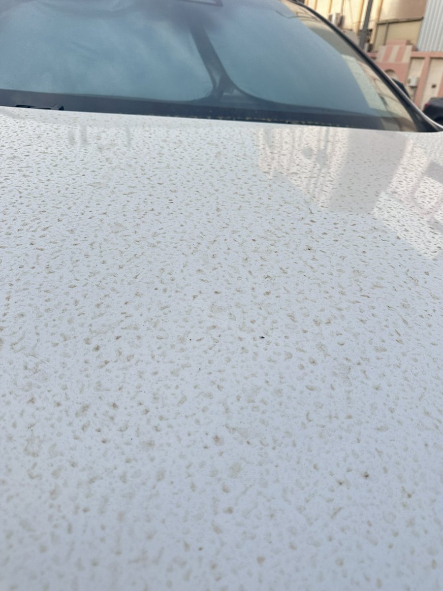 وليد tweet media