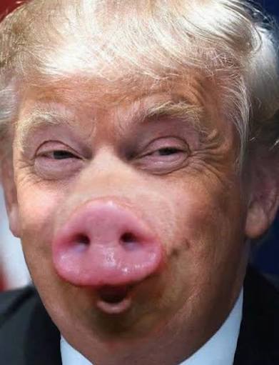 ItihasNow tweet media