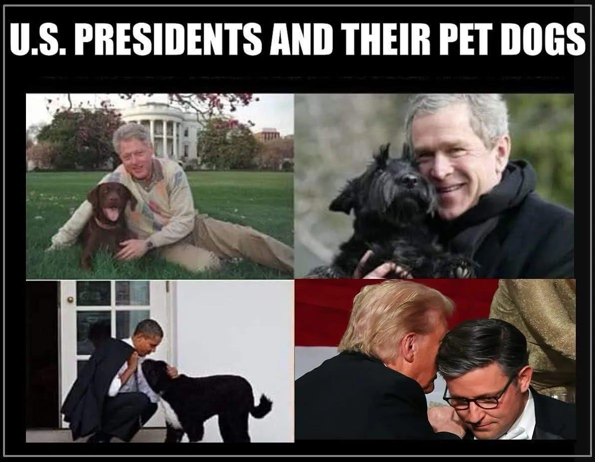 The Blue Torch tweet media