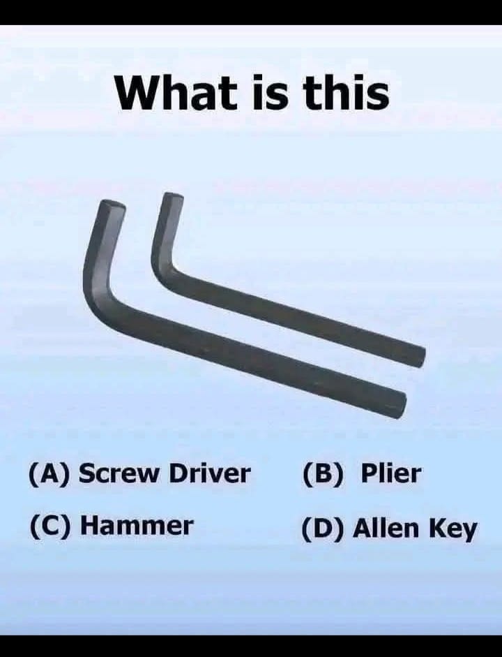 Lady Ascent tweet media