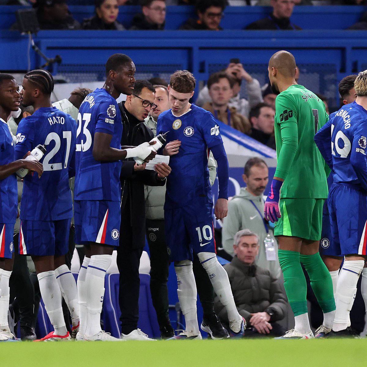 Blue Season Daily tweet media