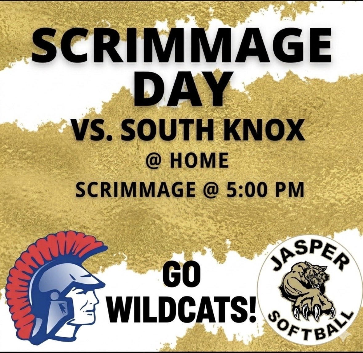 Jasper Softball tweet media