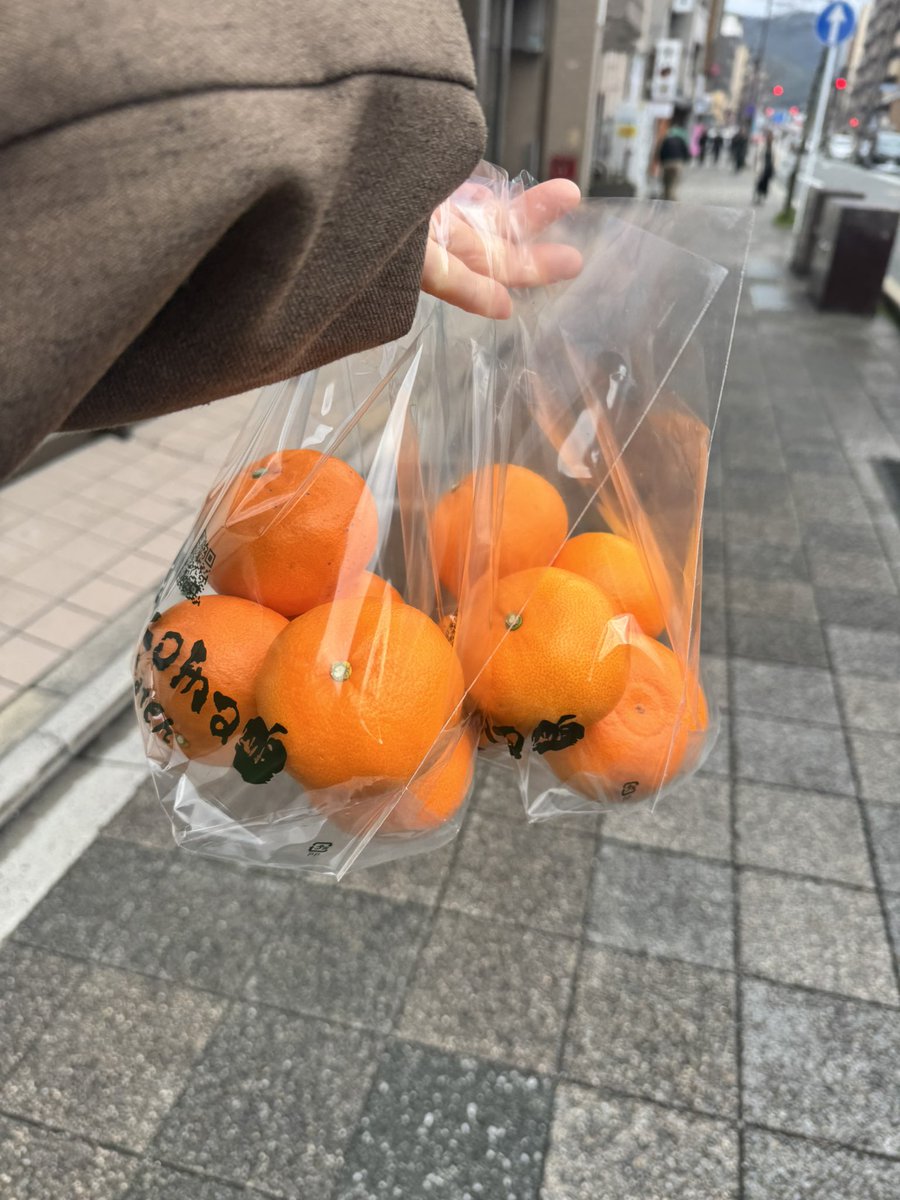 MiMiみみ tweet media