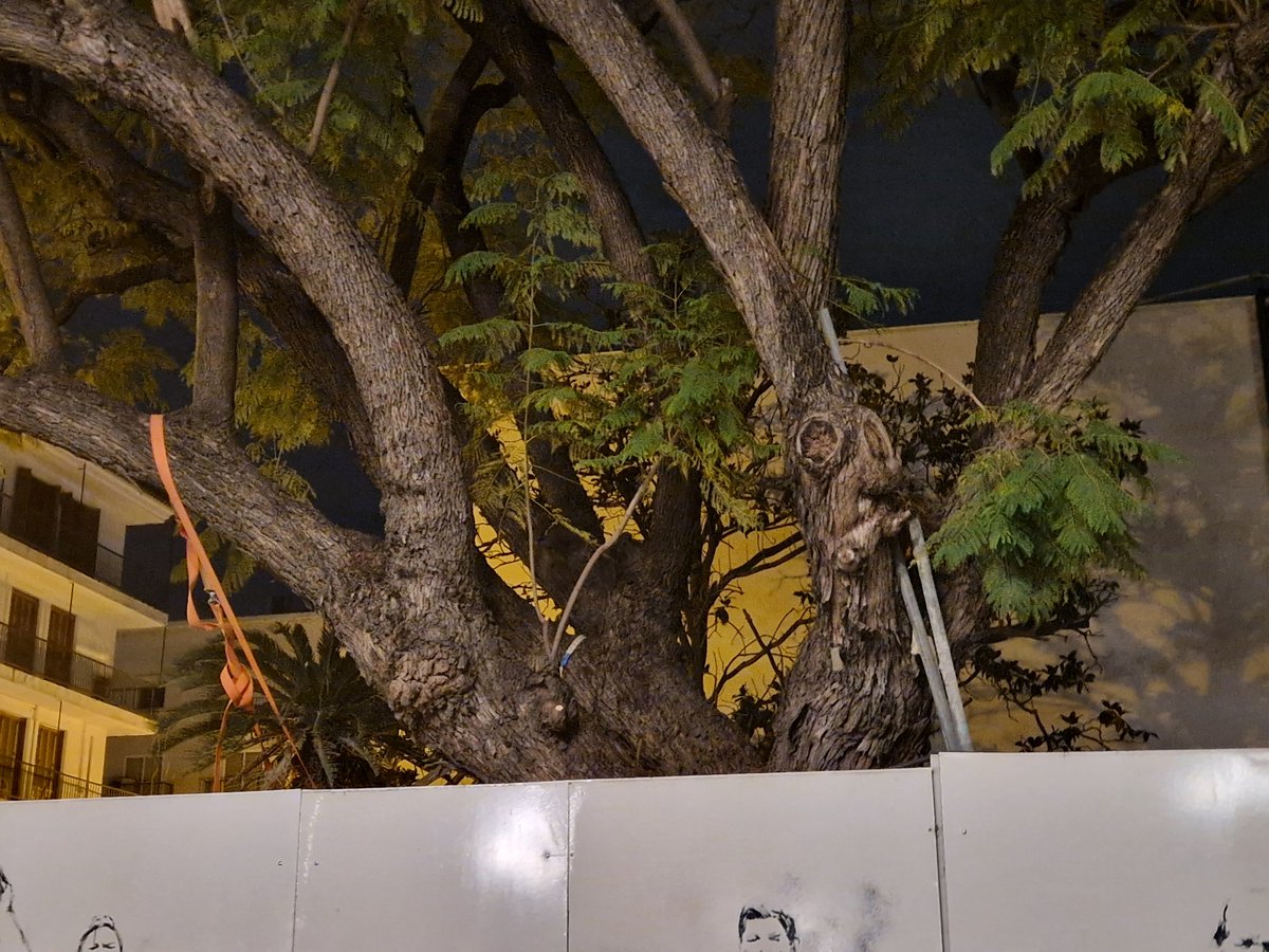 Sevillanos, os engaño tweet media